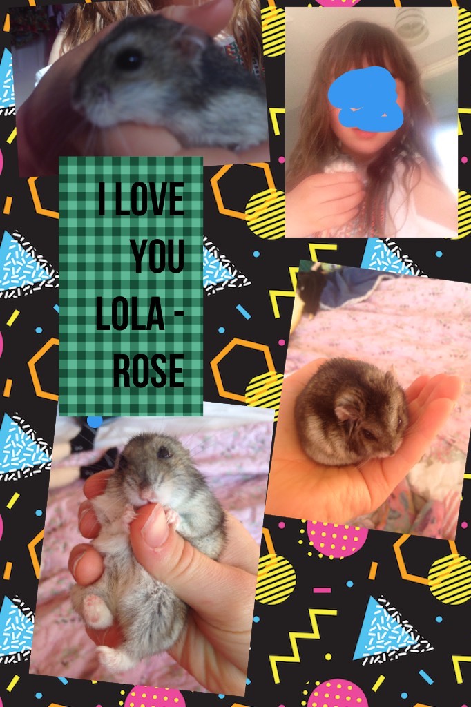 I love you Lola - rose