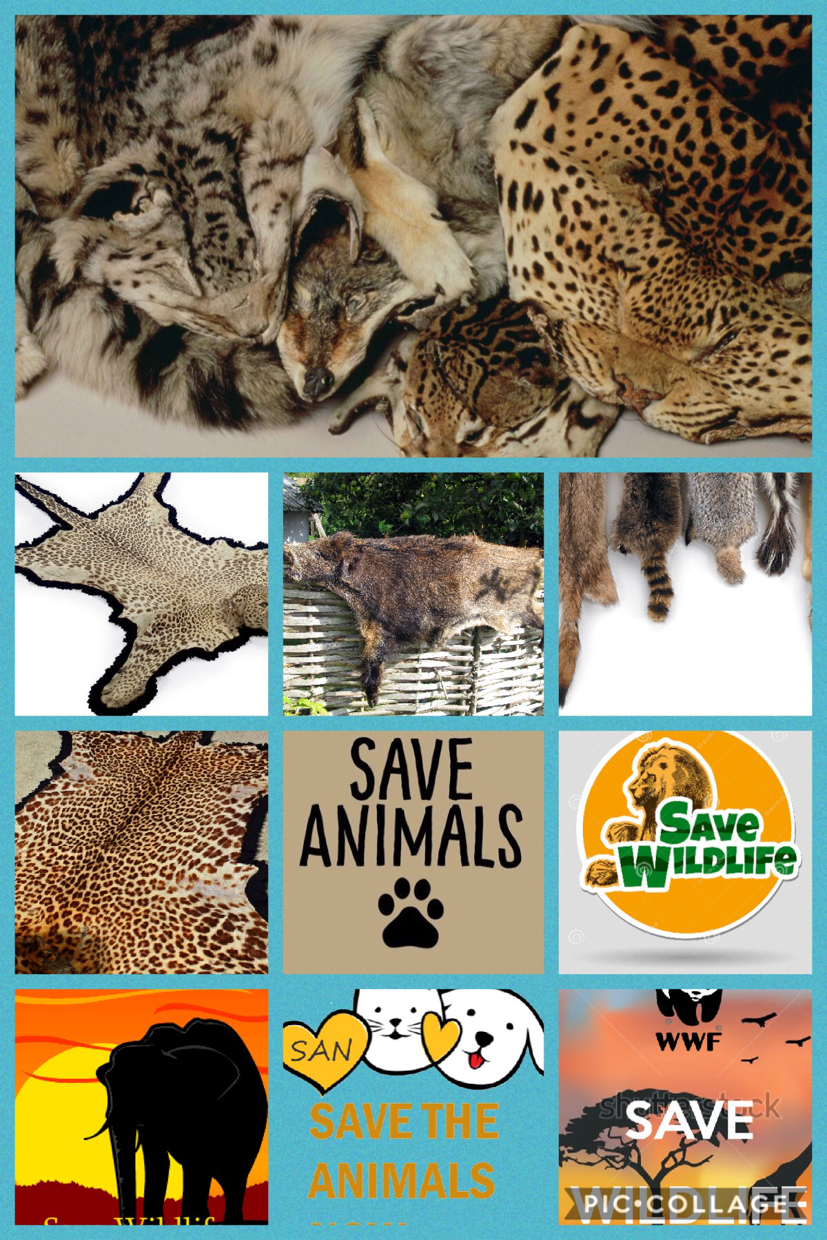 Save wildlife 
