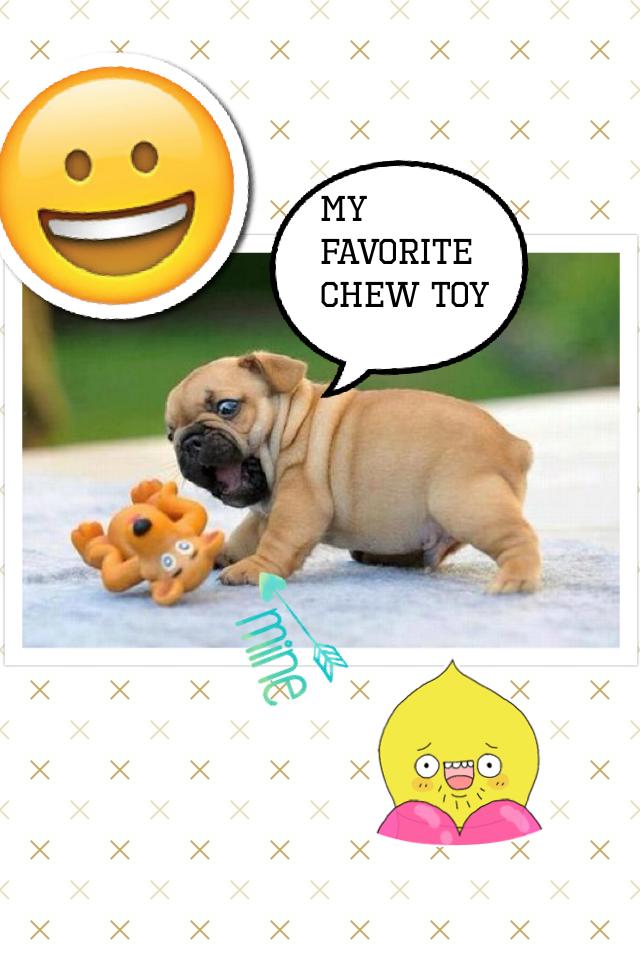 My favorite chew toy 