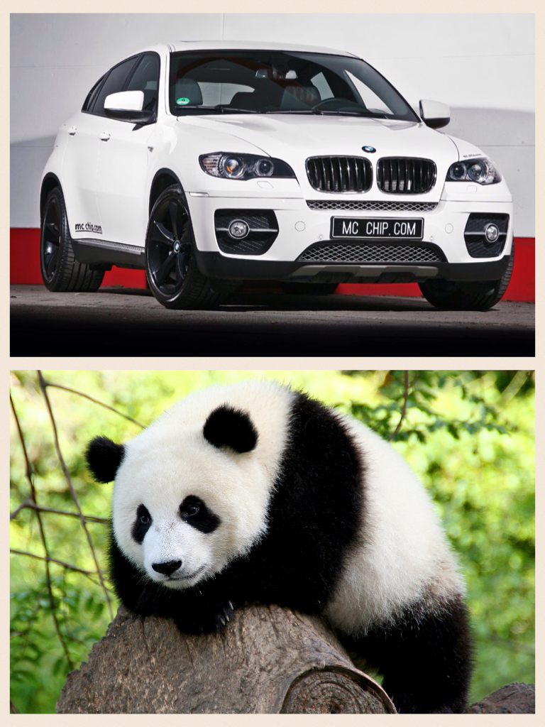 Panda, Panda, Panda, Panda