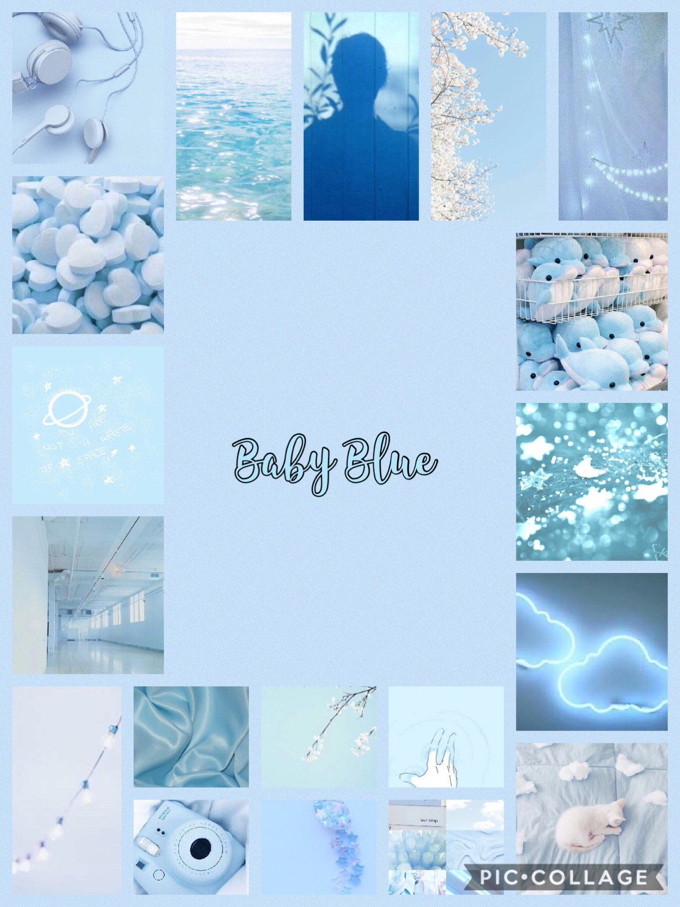 baby blue.🐬🦋