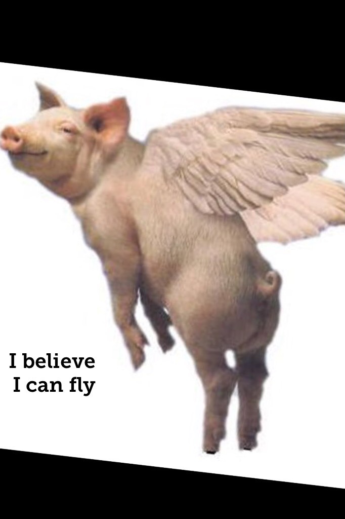 I believe I can fly