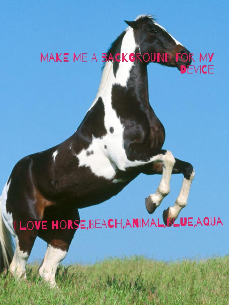 I love horse,beach,animal,blue,aqua 