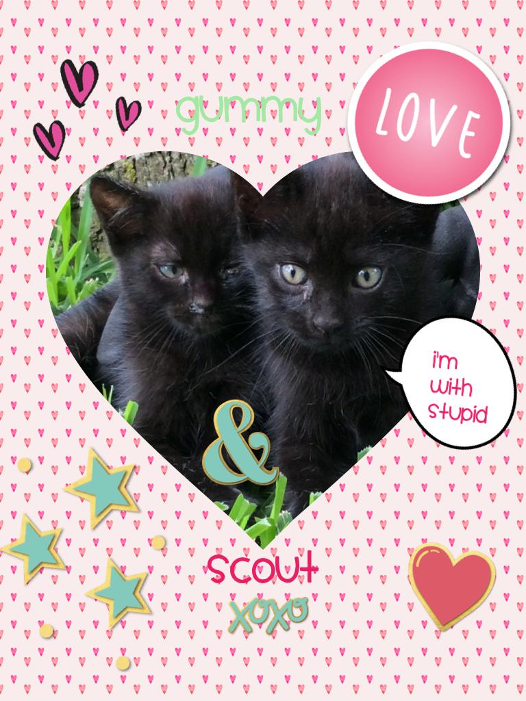 Scout and Gummy