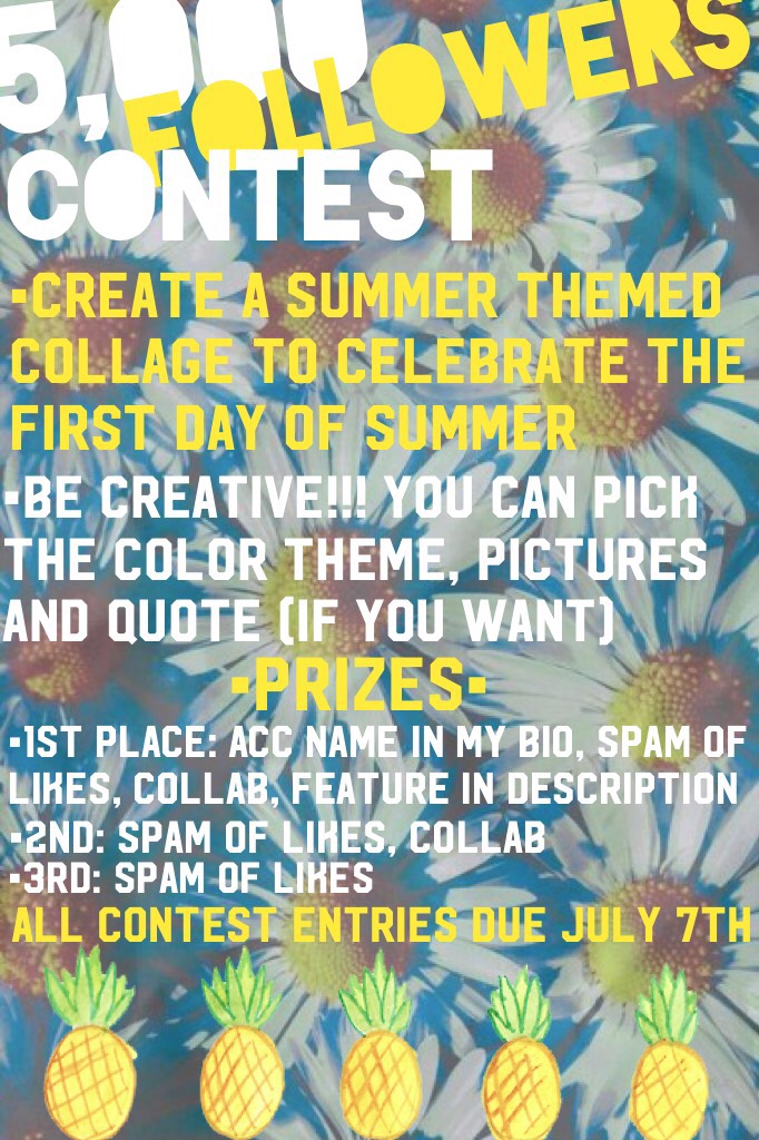 🐱🌻💛5k Followers/Summer Contest!!💛🌻🐱