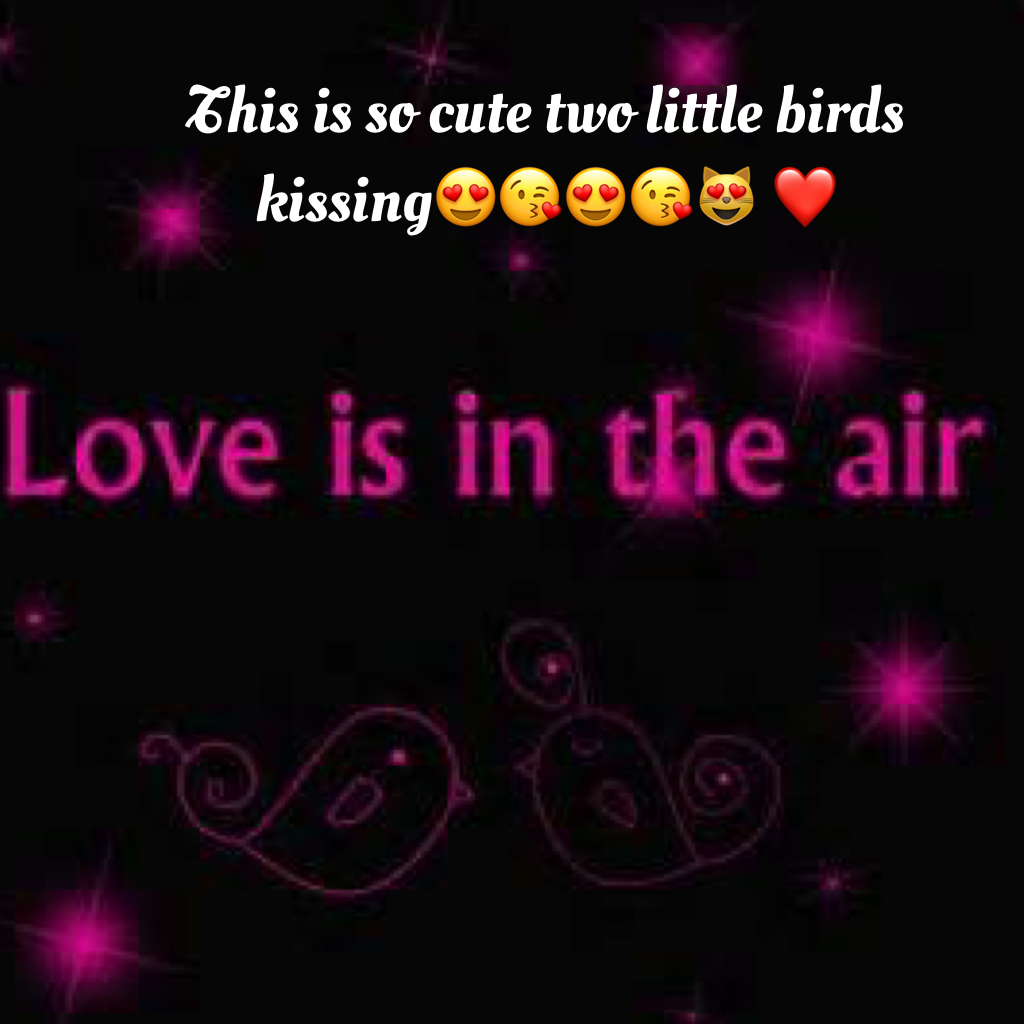 This is so cute two little birds kissing😍😘😍😘😻 ❤️ 