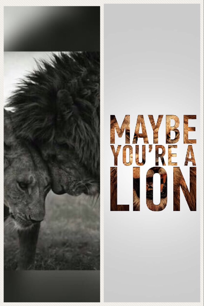 Lions 🦁 