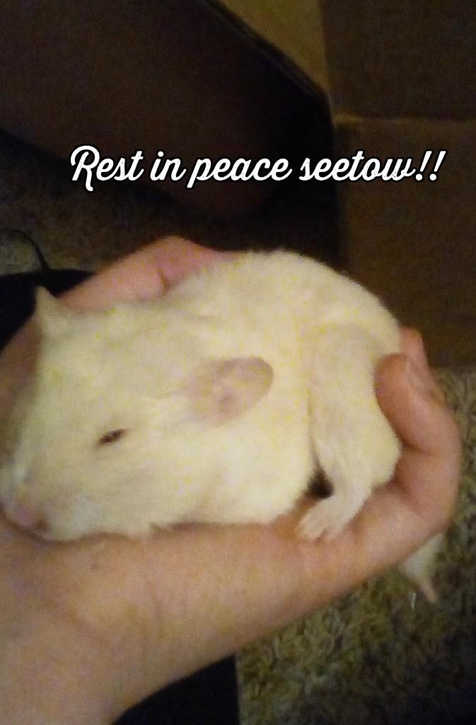 Rest in peace seetow!! 
