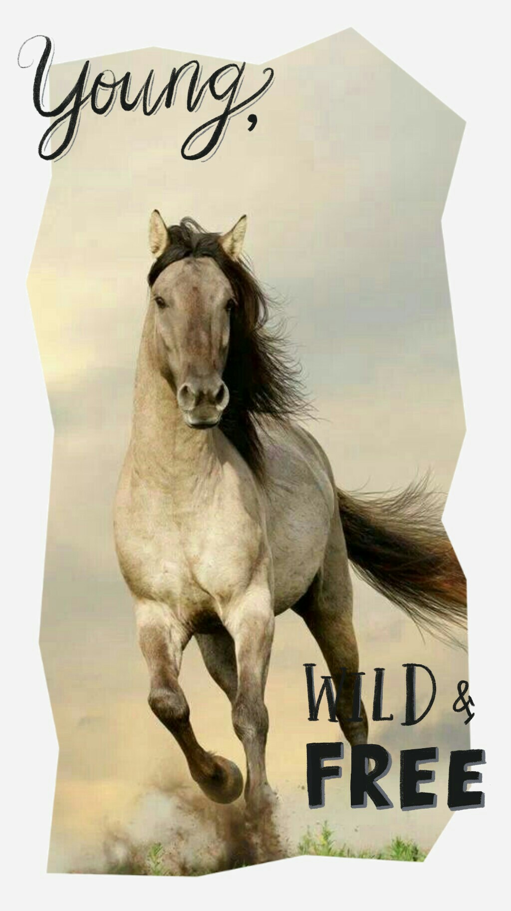 Wild horses still roam. Protect them!