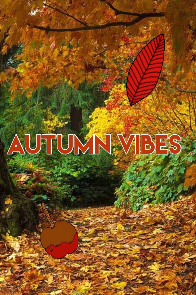 Autumn vibes 