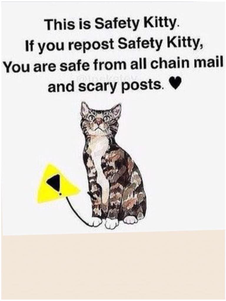 Safety kitty! 🐱 