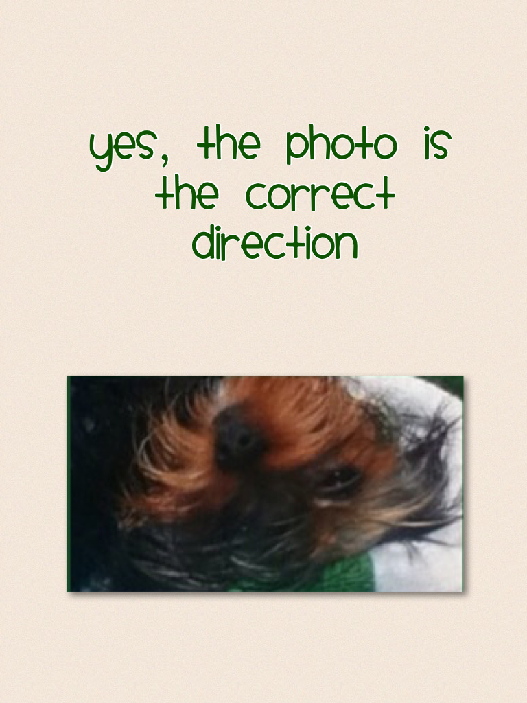 Yes, the photo is the correct direction 