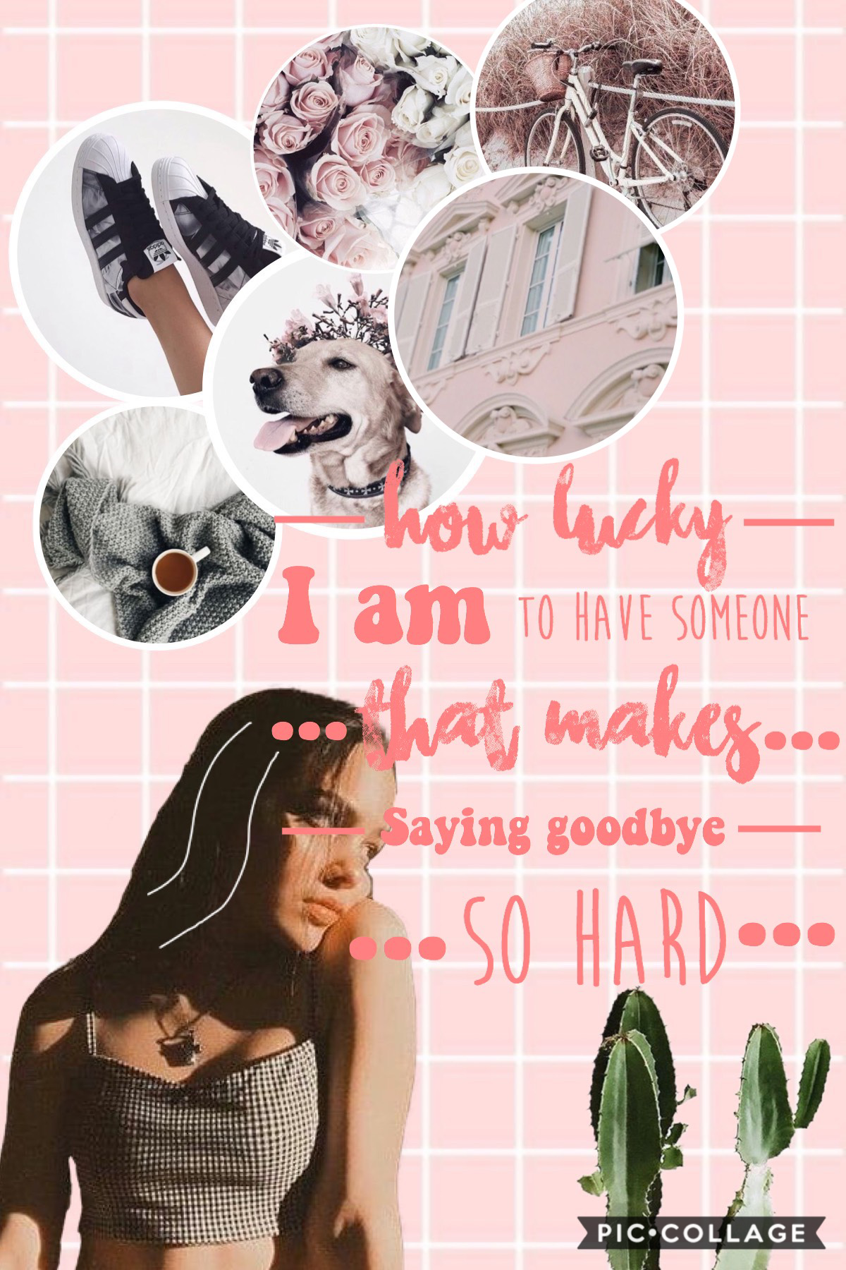 💗tap💗
Hello, i was inspired by all the amazing collages on the explore page and I made this. I hope you enjoy it. 
Q: what is your favourite animal? 
Follower count: 2
27/07/2019
- sapphire_song
