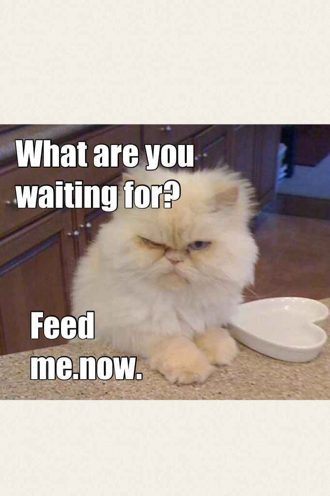 Feed me.now.