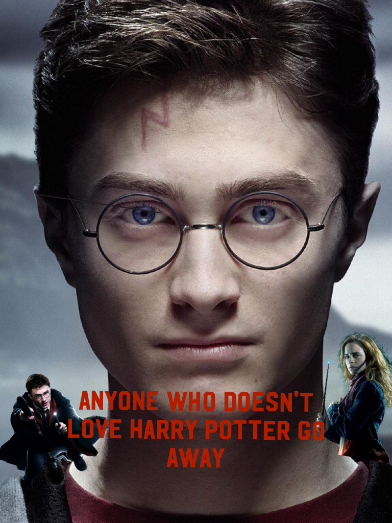 Anyone who doesn't love Harry Potter Go Away 
Remix