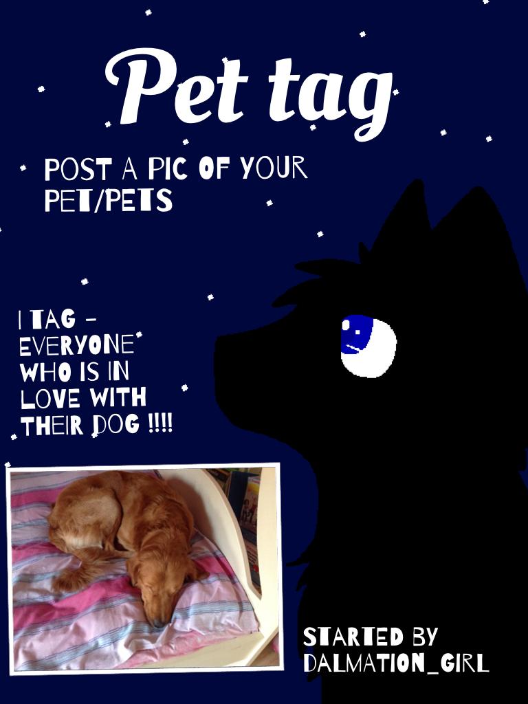 My pet who's your ??!!!