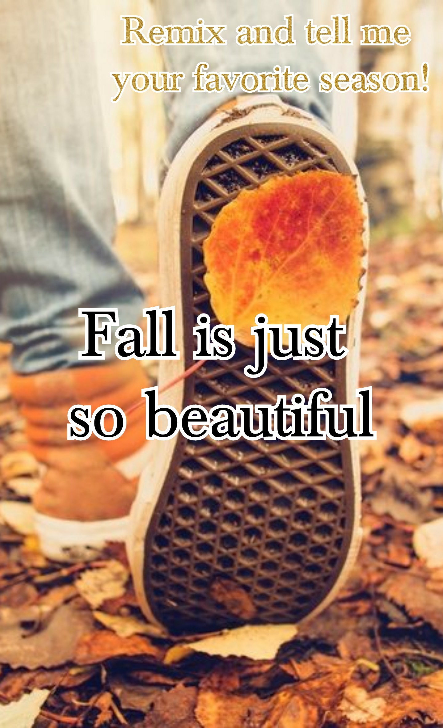 Fall is just so beautiful!