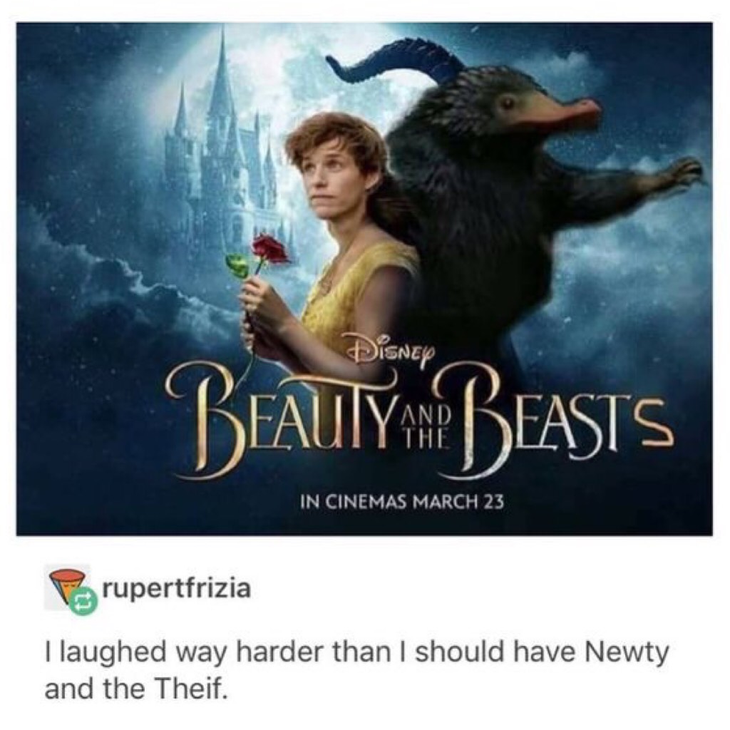 Watching Fantastic Beast while looking through Pinterest and I see this😂💀
