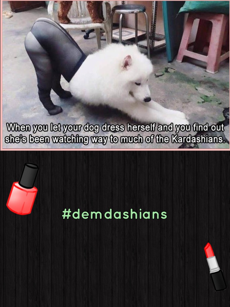 #demdashians 