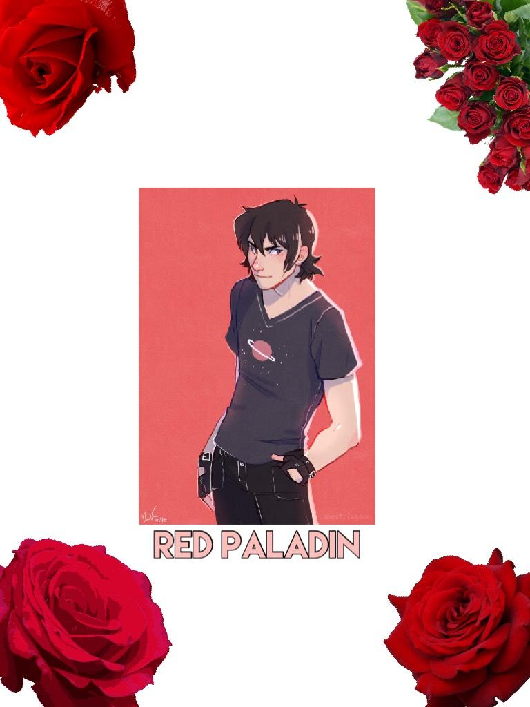 Red Paladin