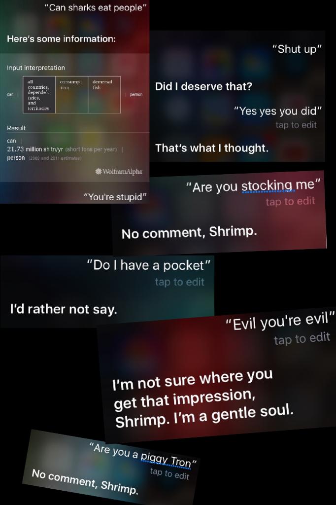 Me and my stupid arguments with Siri 