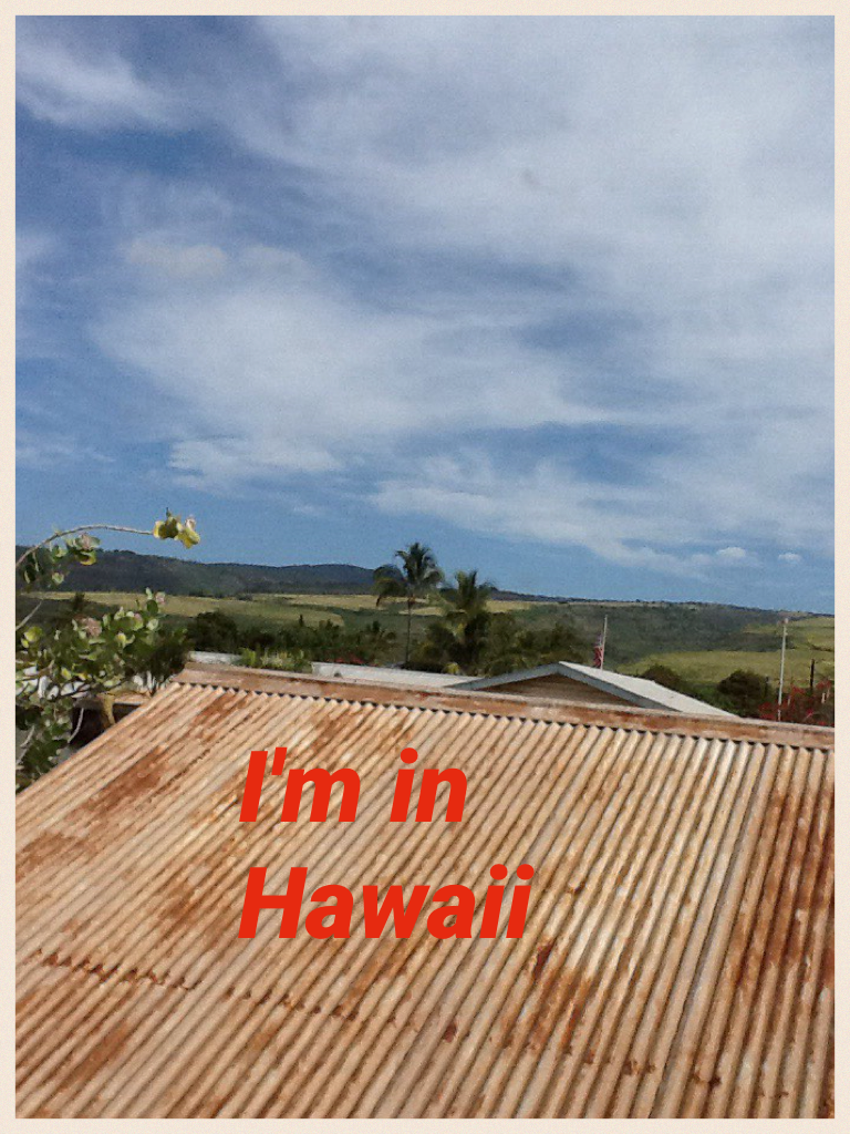 I'm in Hawaii 