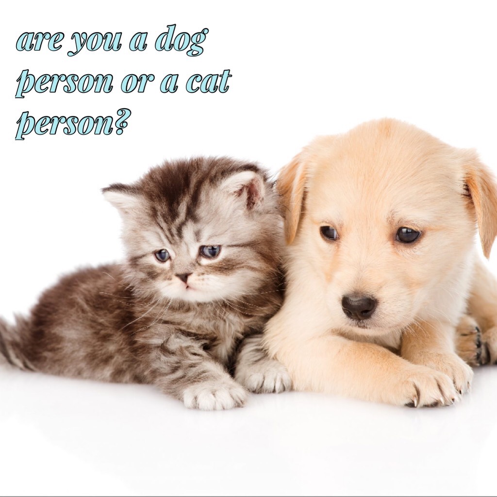 tap
i think they are both really cute and awesome. but i am more of a dog person which one are you?