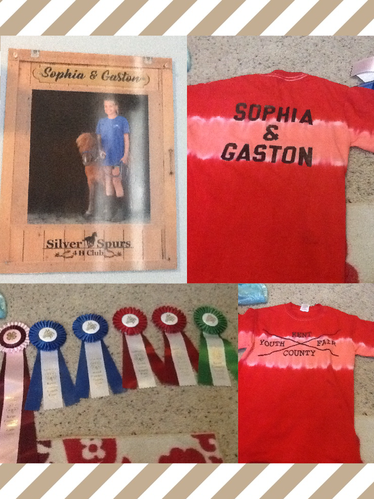 Just got back from a great week of fair! 2 firsts(cloverleaf and showmanship) 2 seconds(trail and jumping) and a sixth (costume) 