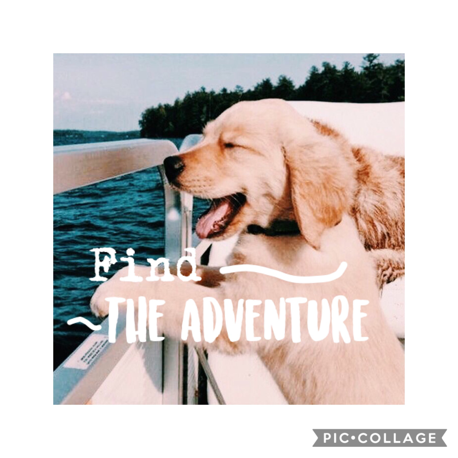 Tap🐶
I just left recolor. I'll be on here though❤️
#FindTheAdventure
