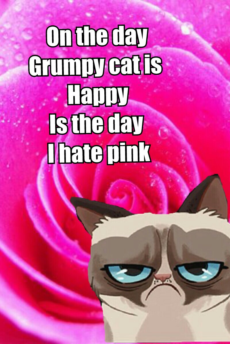On the day
Grumpy cat is 
Happy
Is the day 
I hate pink