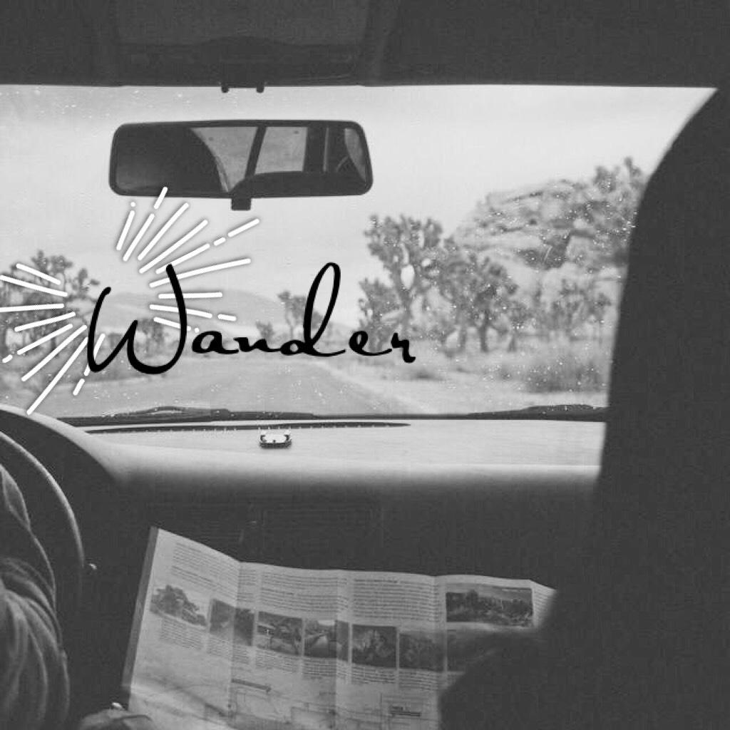 Wander 
