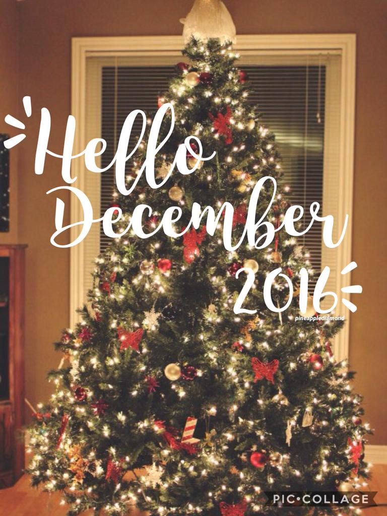 Yes it's finally December! Counting down the days till Christmas 🎄