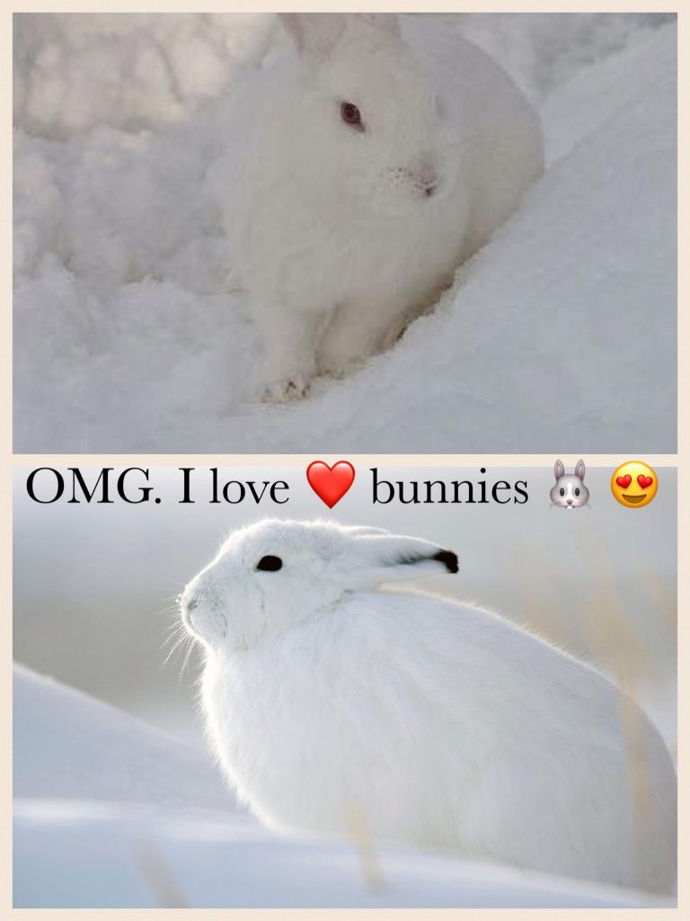 OMG. I love ❤️ bunnies 🐰 😍