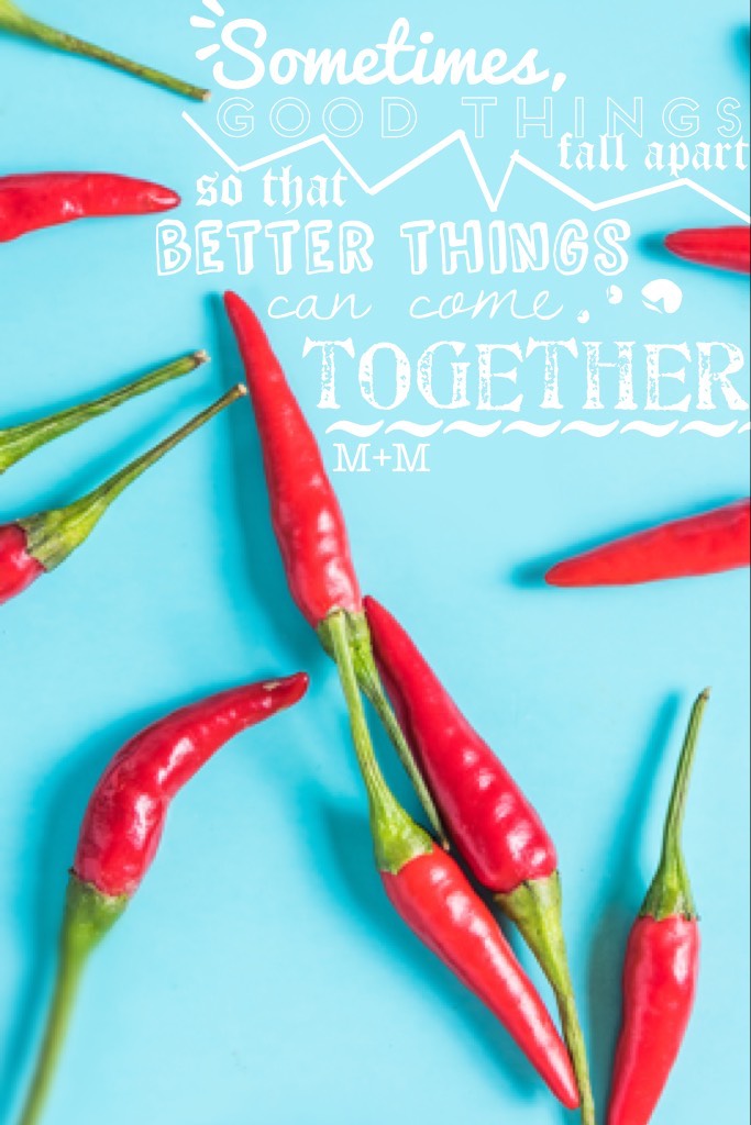 🌶By Mollie🌶
Just realized we never made an Easter collage. FYI that was not intentional, it's just that we were really busy before Easter. Hope you had a good one!!
QoTC: What are your favorite Easter traditions?
AOTC: Getting up at 5am to go to sunrise s