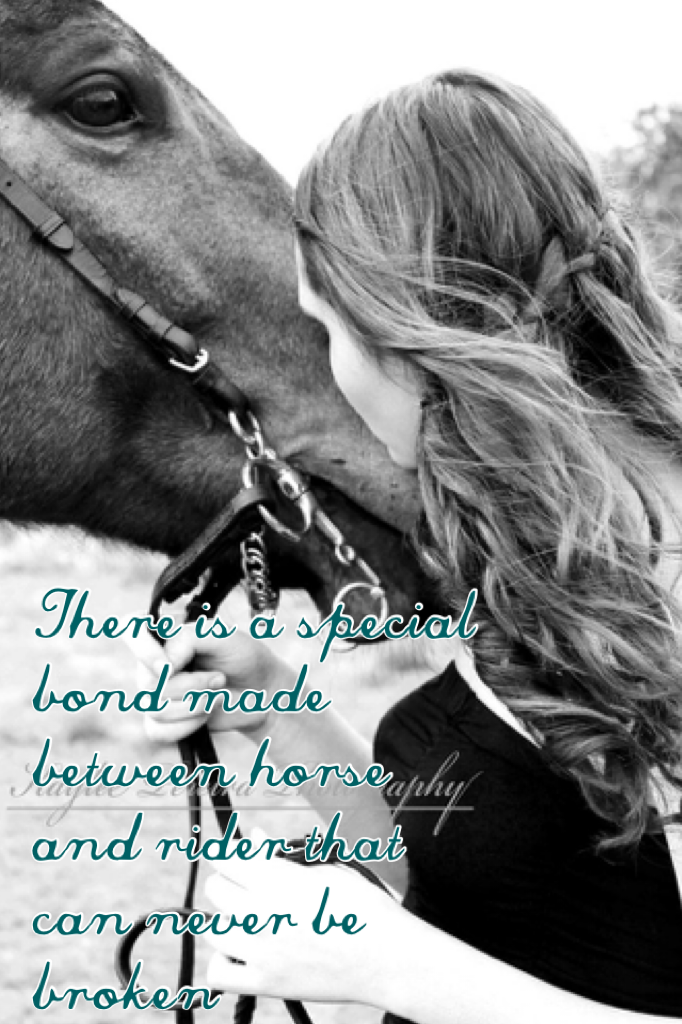 There is a special bond made between horse and rider that can never be broken 