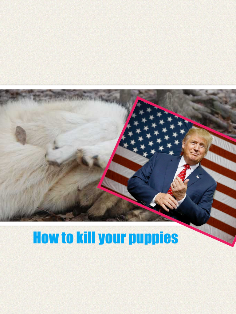 How to kill your puppies 