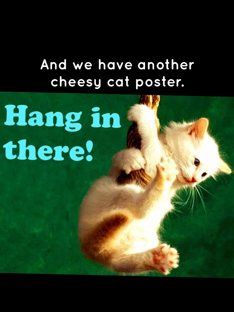 And we have another cheesy cat poster.