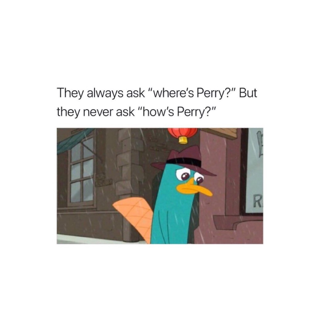 DONT DO THIS TO MY BOI PERRY😭