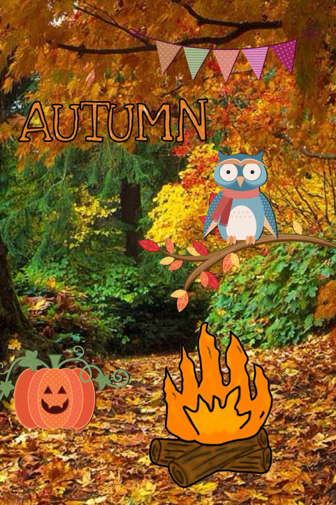 Autumn 🍁
