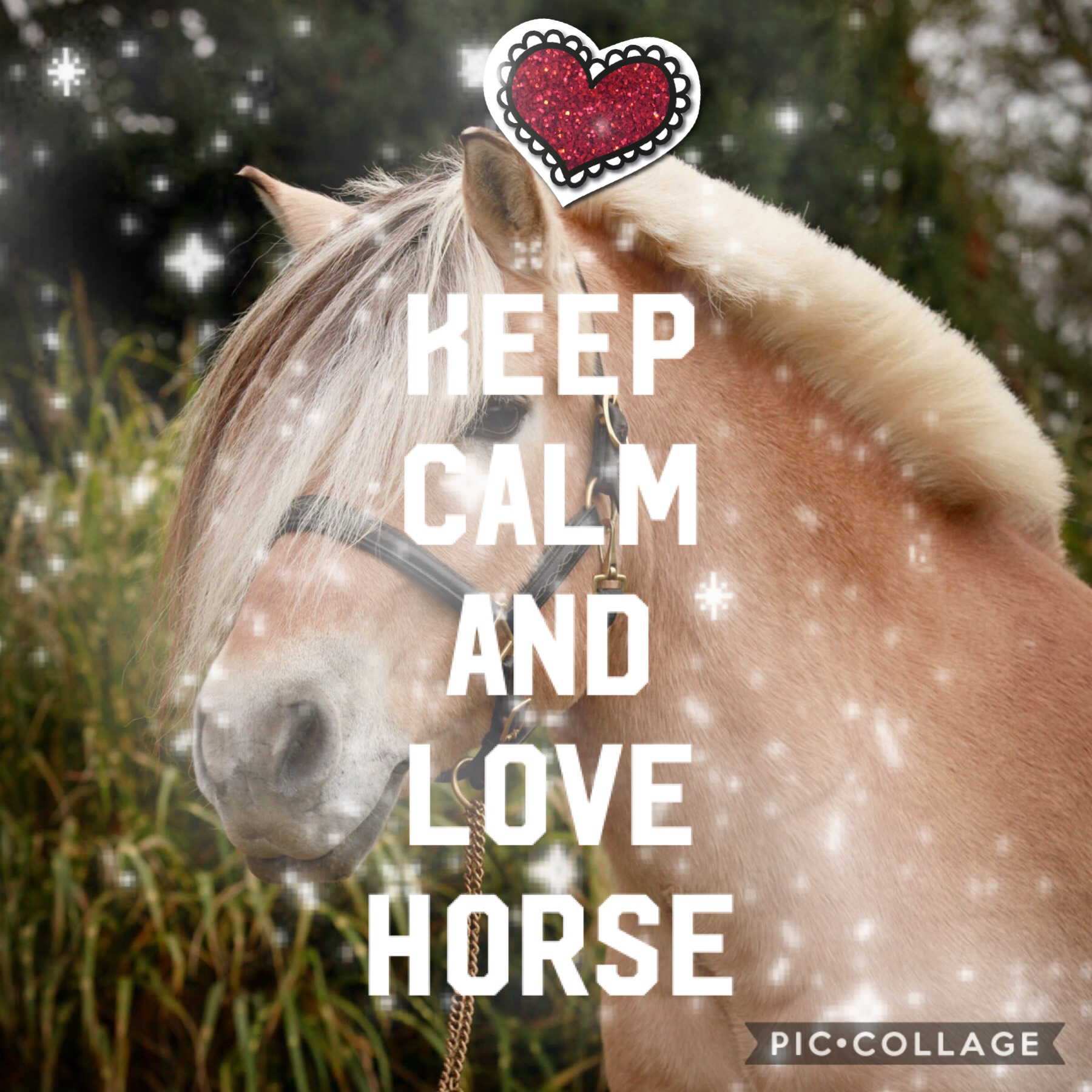 Keep 
Calm
And
Love Horse