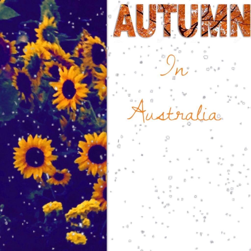 It's now Autumn in Australia. It's starting to chill out abbot and it's the lead up to winter. The season when we snuggle up and get cozy