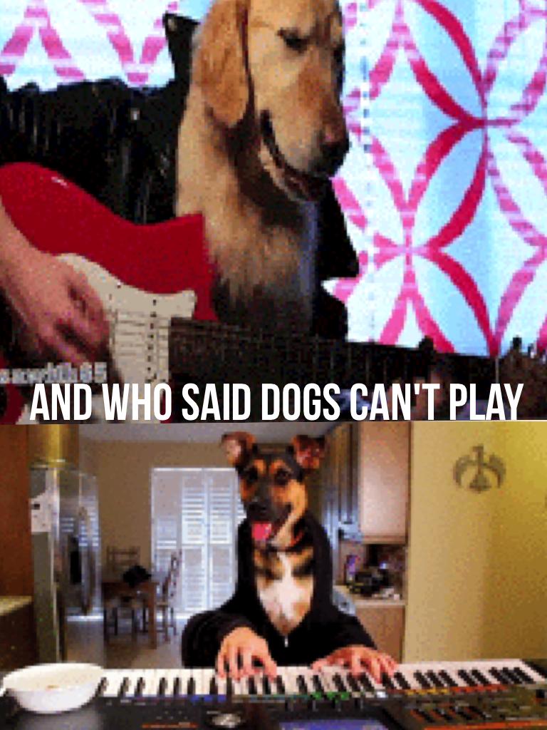 Who said dogs can't play