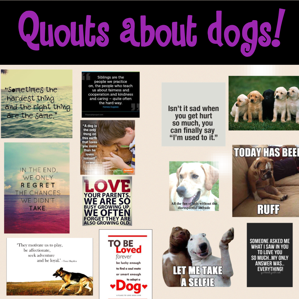 Quouts about dogs!