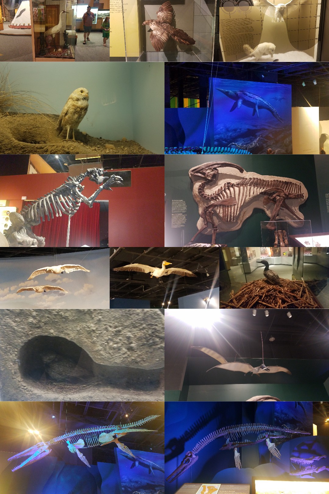 these are some of the things I saw at the museum in Canada 