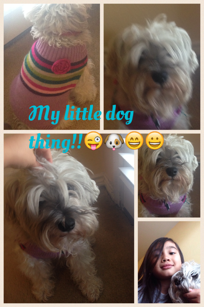 My little dog thing!!😜🐶😄😀