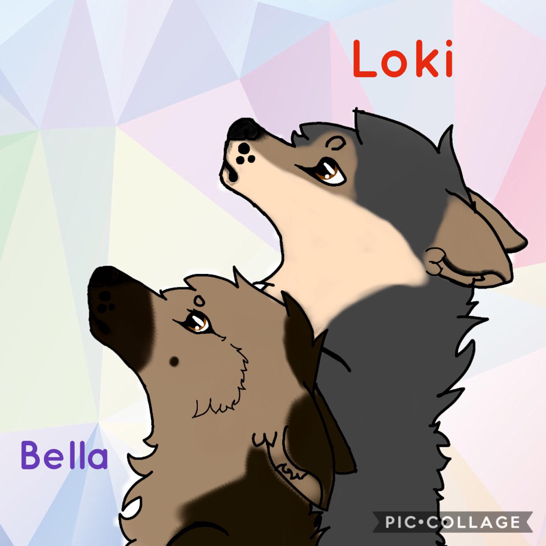My newest characters, Loki who is a 15 year old wolf and Bella who is a 14 year old german shepherd.