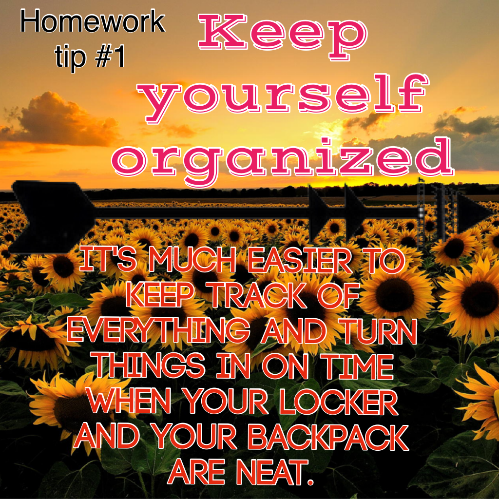 Keep yourself organized 