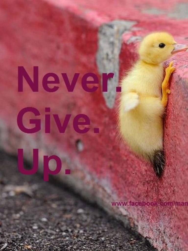 Never give up. Never