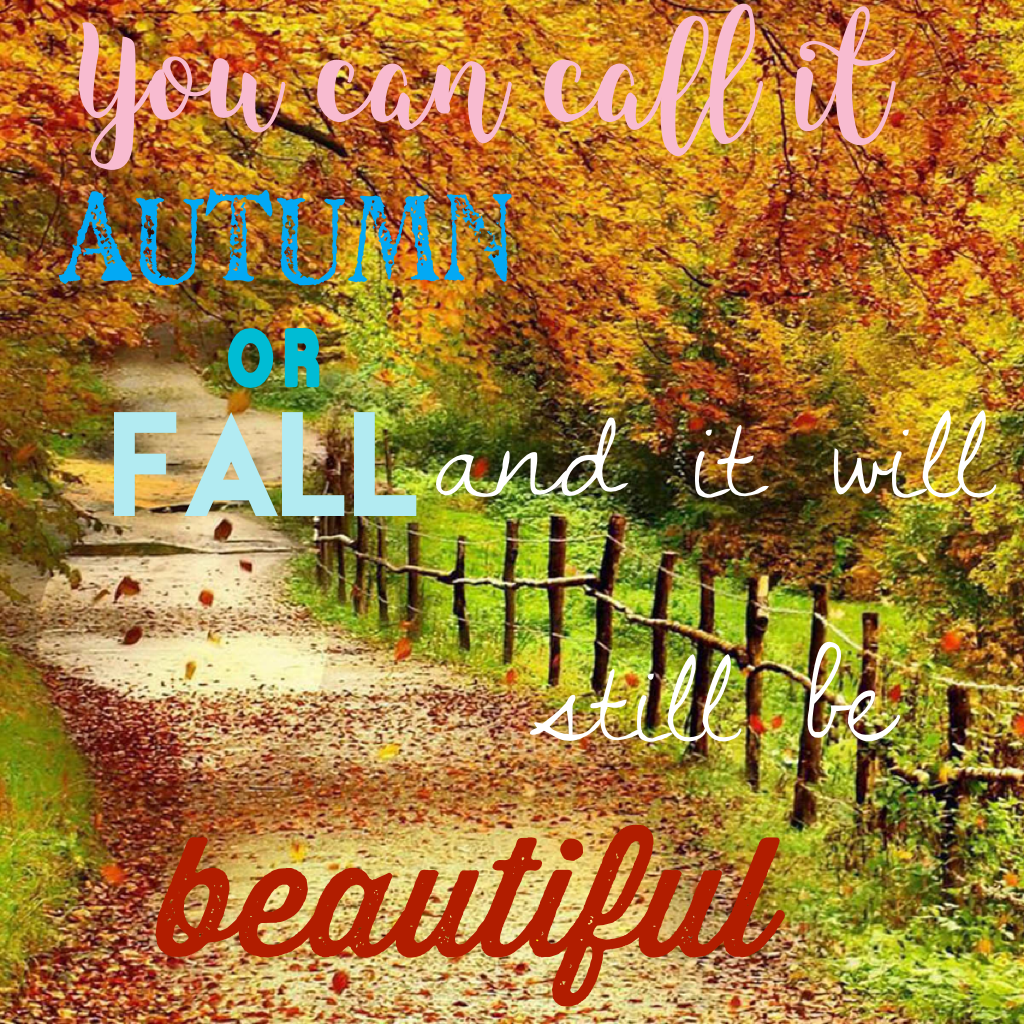 TAP

I went in private for a bit because everything got so busy but I am back!! Hope you like this Autumn/Fall edit!