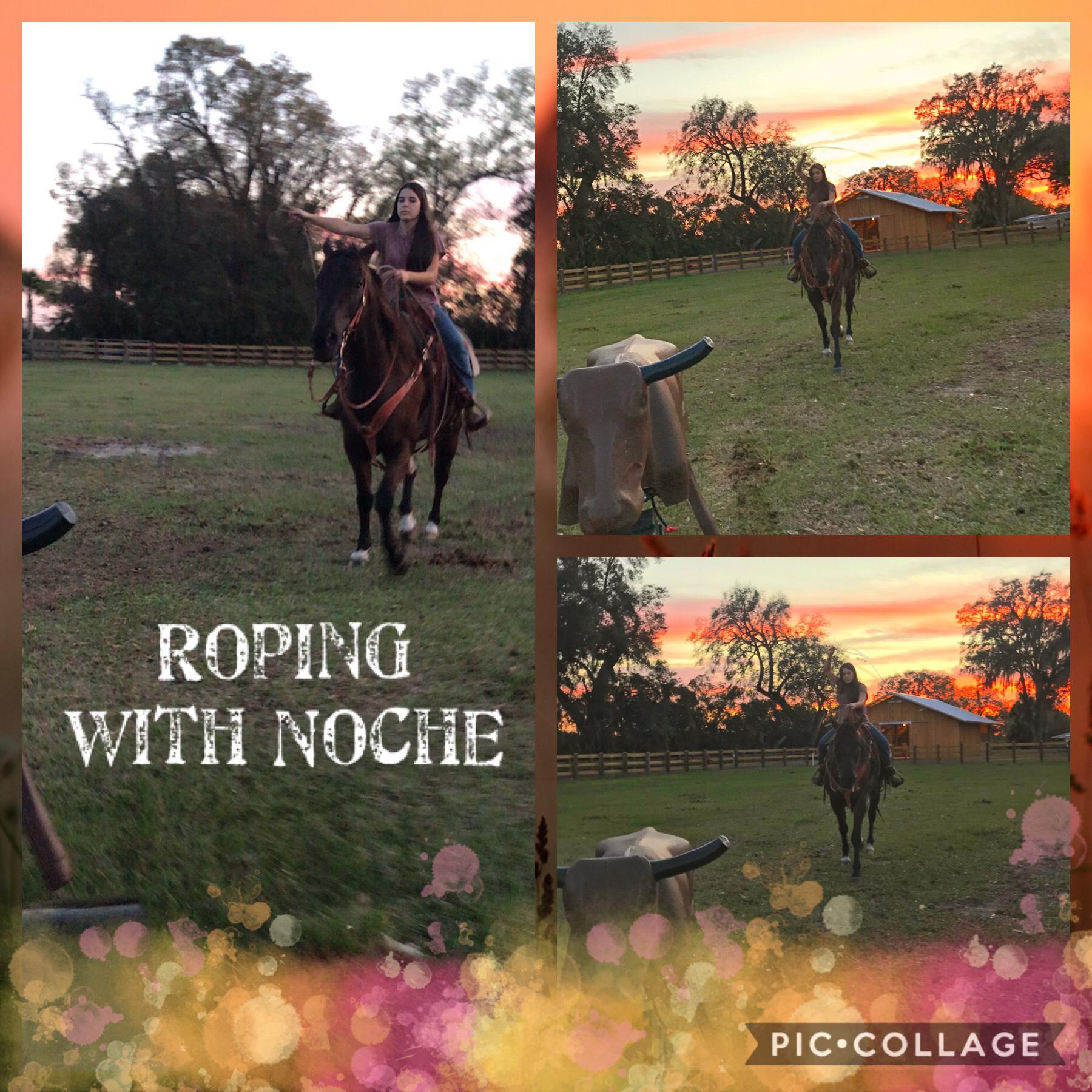 Roping with Noche 🤠